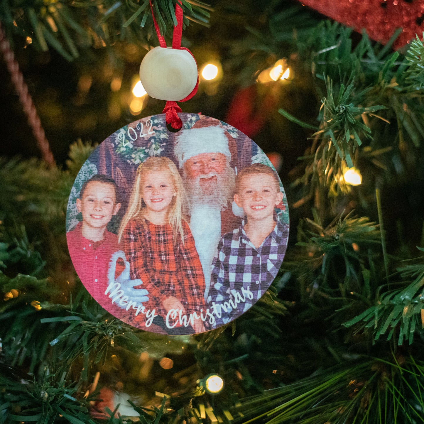Picture Ornament