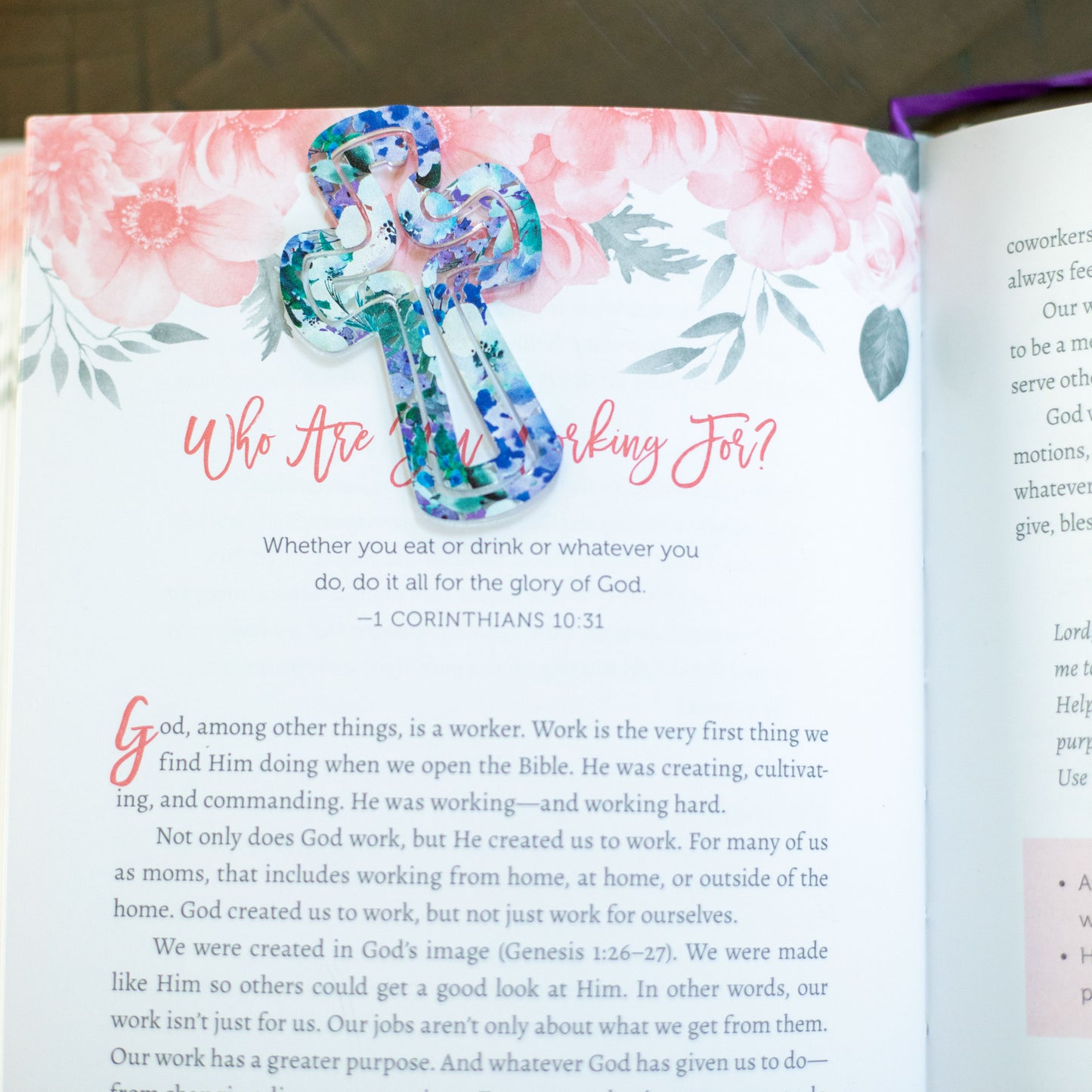 Crew Neck Sweatshirt + Bookmark