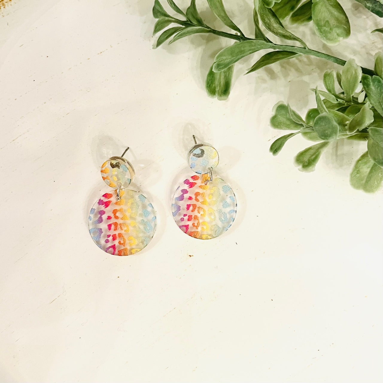 Acrylic Double Circle Earrings