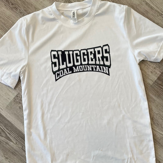 Sluggers Baseball Original Design